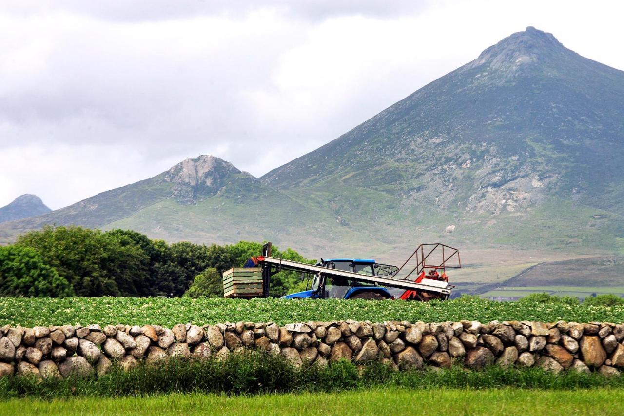 Ballykeel Farm, Mourne Mountains Ballymartin Exterior photo