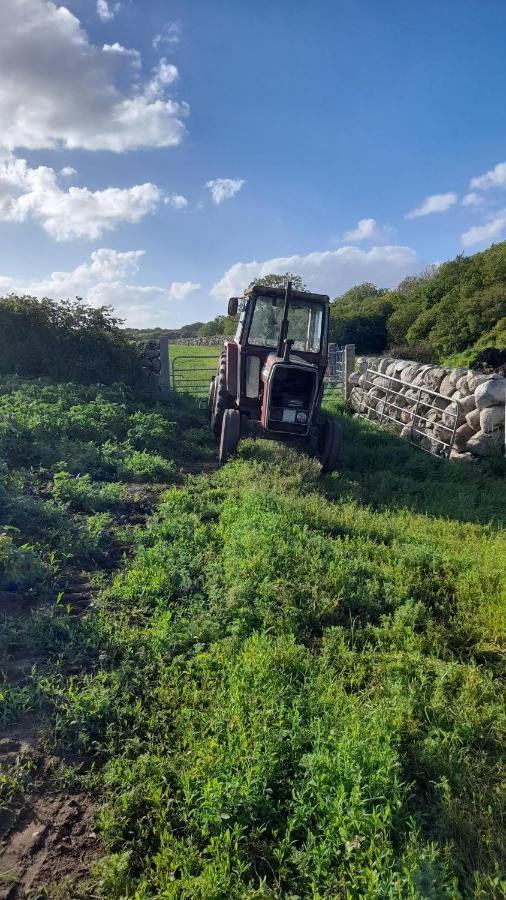 Ballykeel Farm, Mourne Mountains Ballymartin Exterior photo
